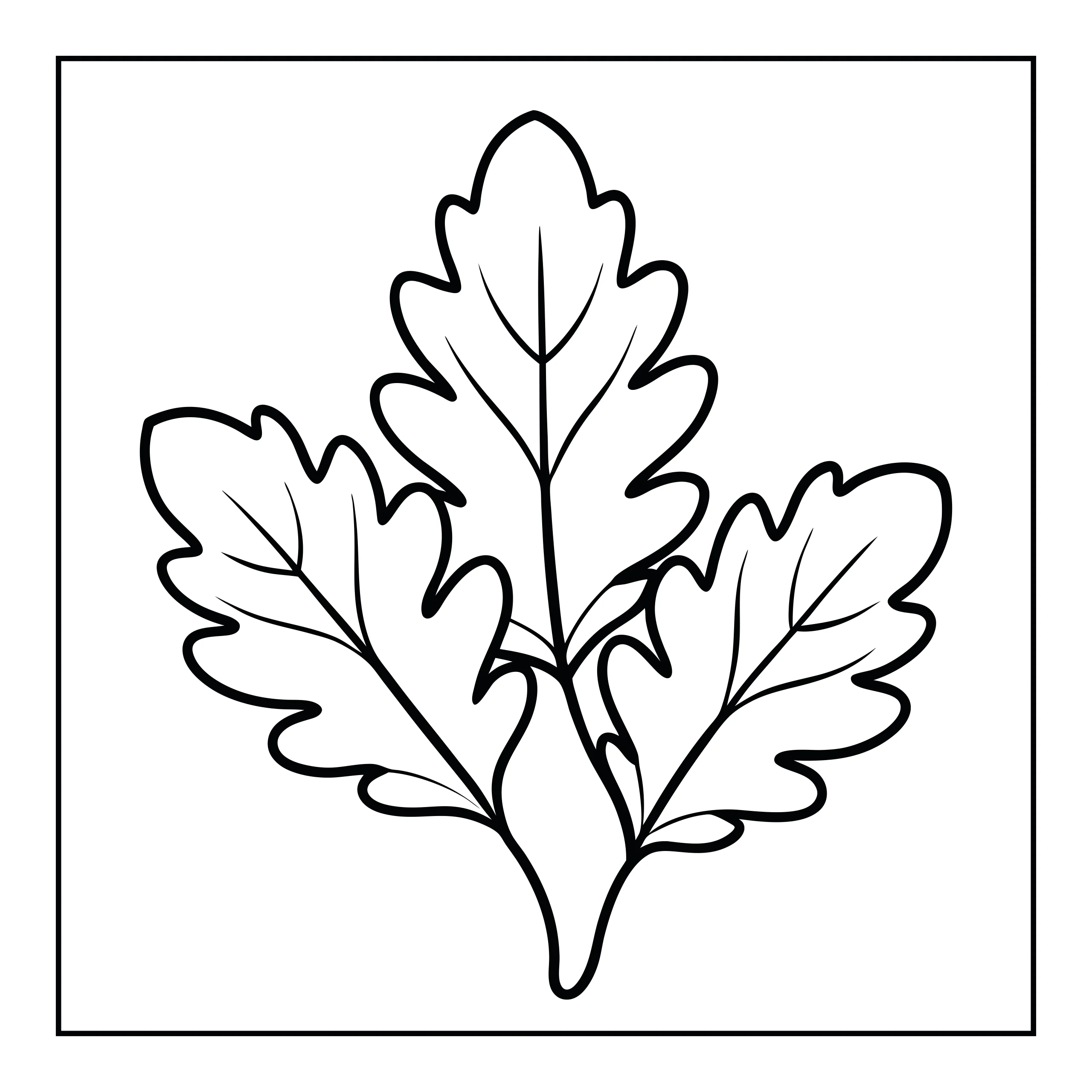 Coloriage feuilles — Page de coloriage