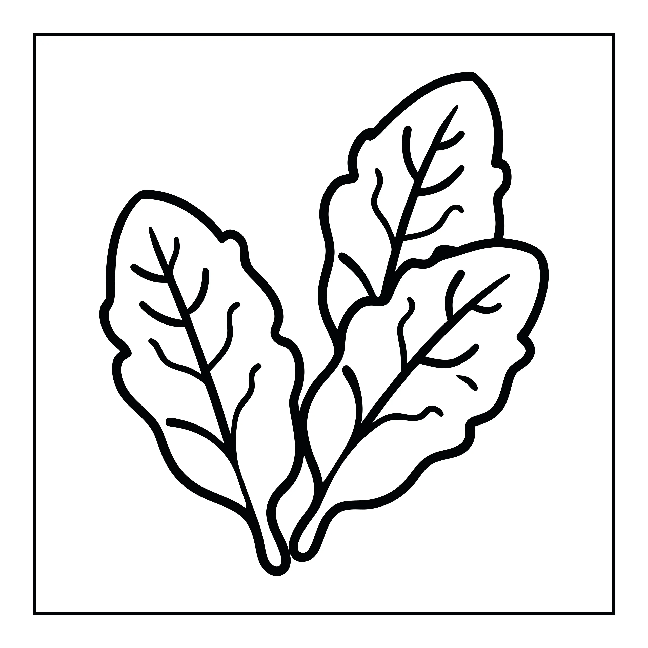 Coloriage feuilles de salade — Page de coloriage