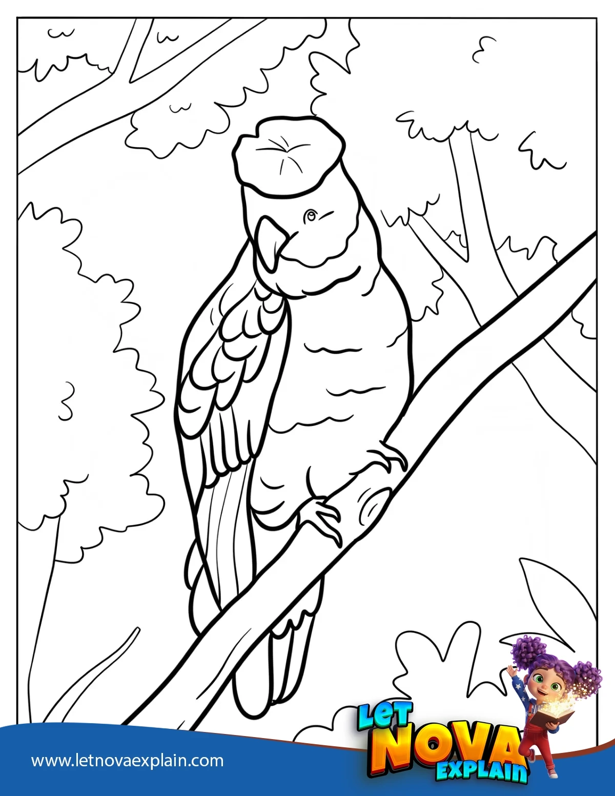 Australian Animal Gang Gang Cockatoo Perched on a Branch — Coloring page