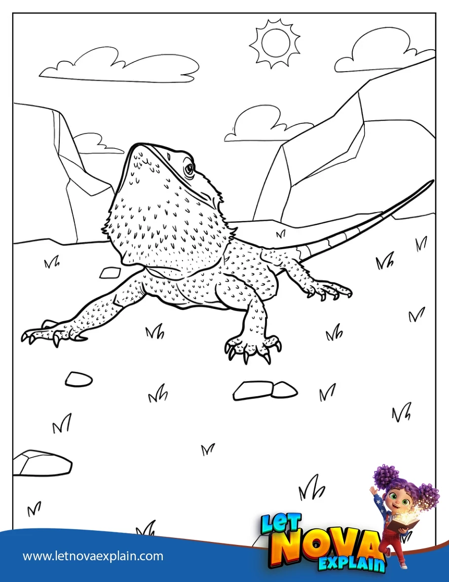 Bearded Dragon On Grass Coloring Page 1 — Printable PDF