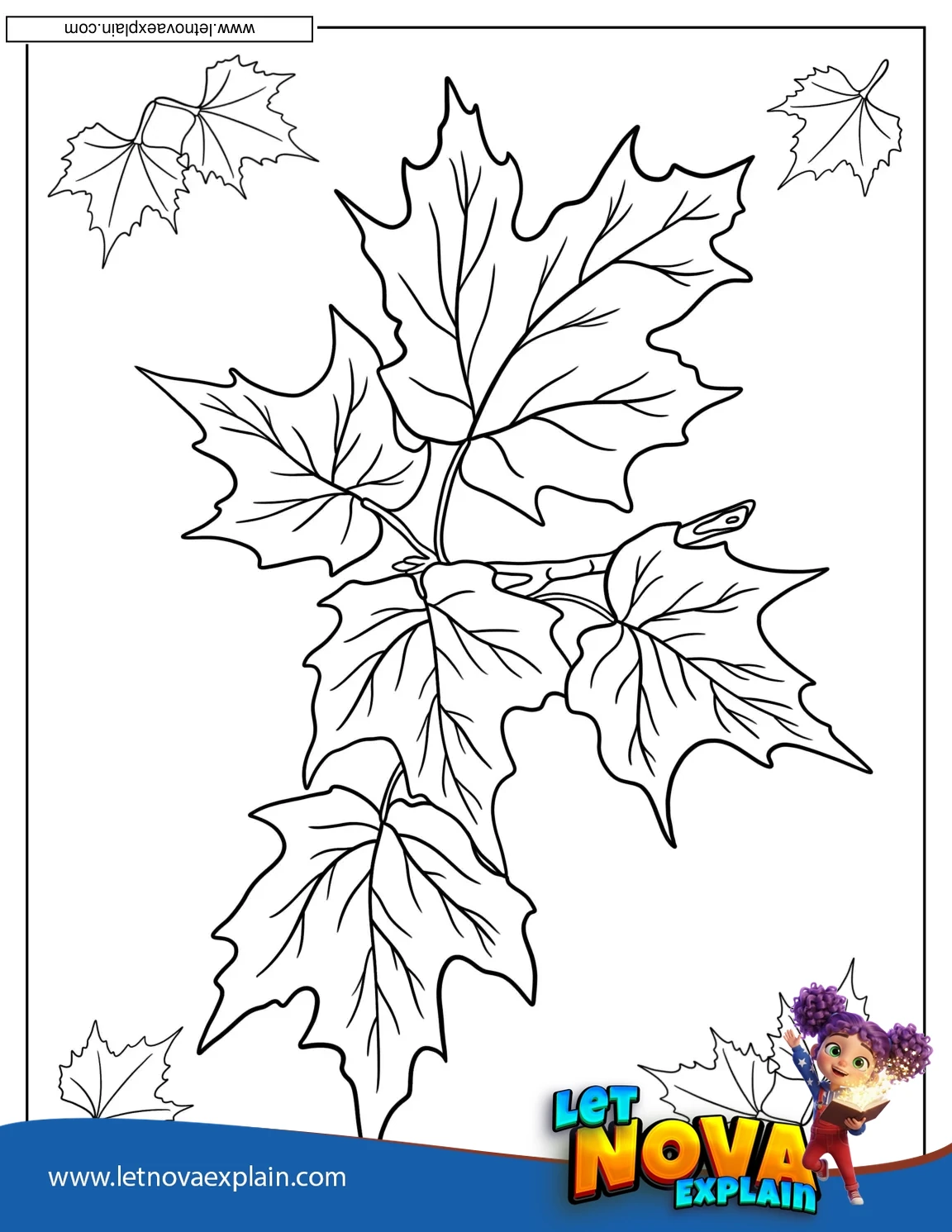 A Branch Full Of Fall Leaves — PDF imprimable