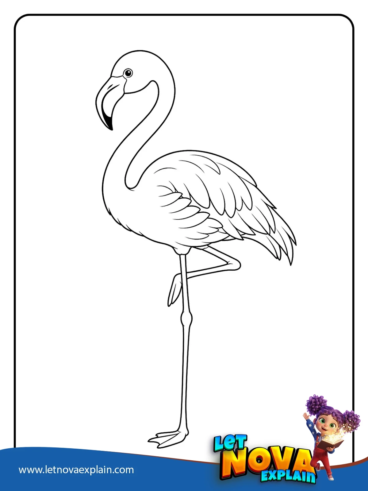 Flamingo Standing on One Leg coloring — Coloring page