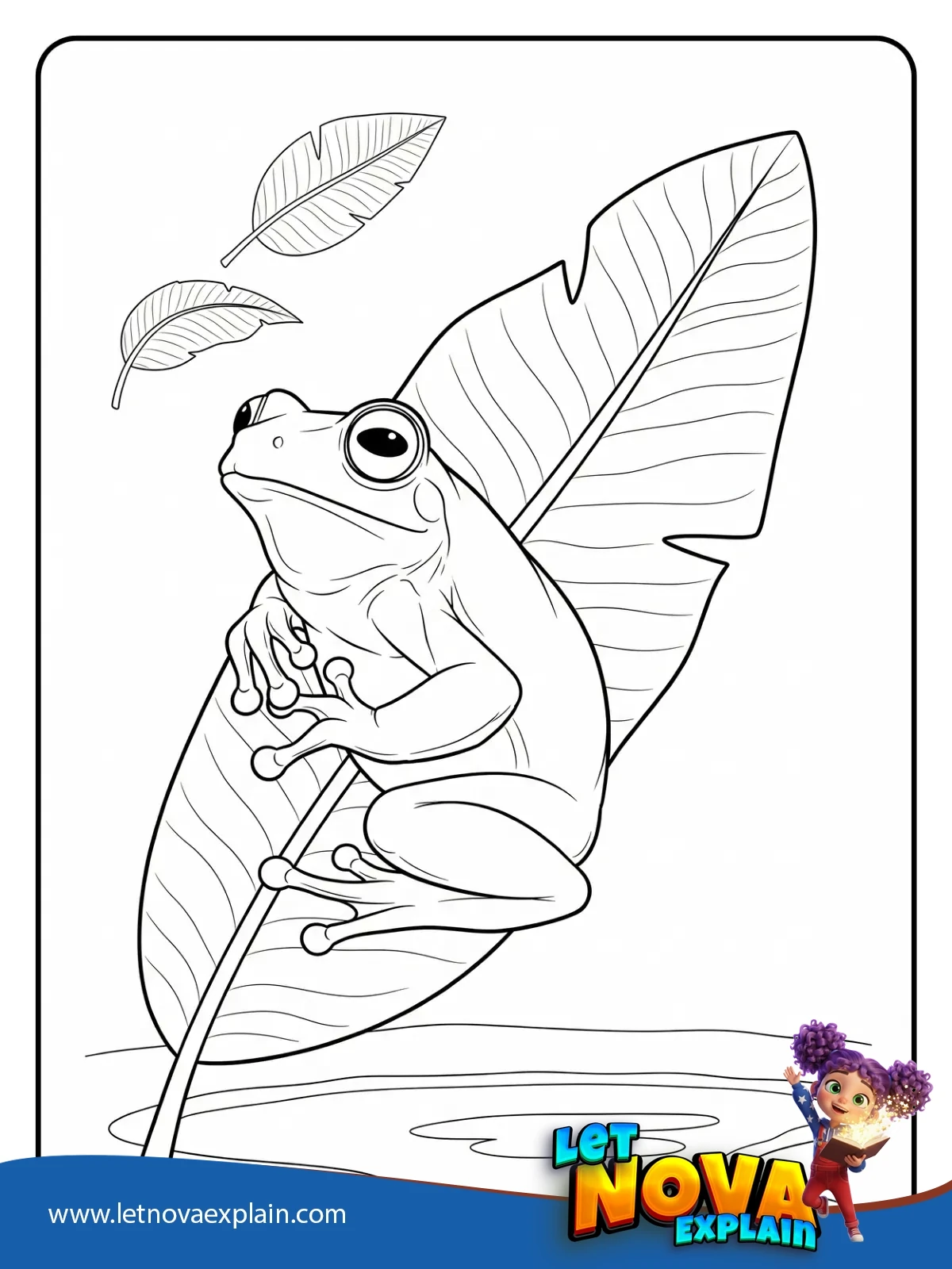 Tree Frog on a Curved Leaf coloring — Disegno da colorare