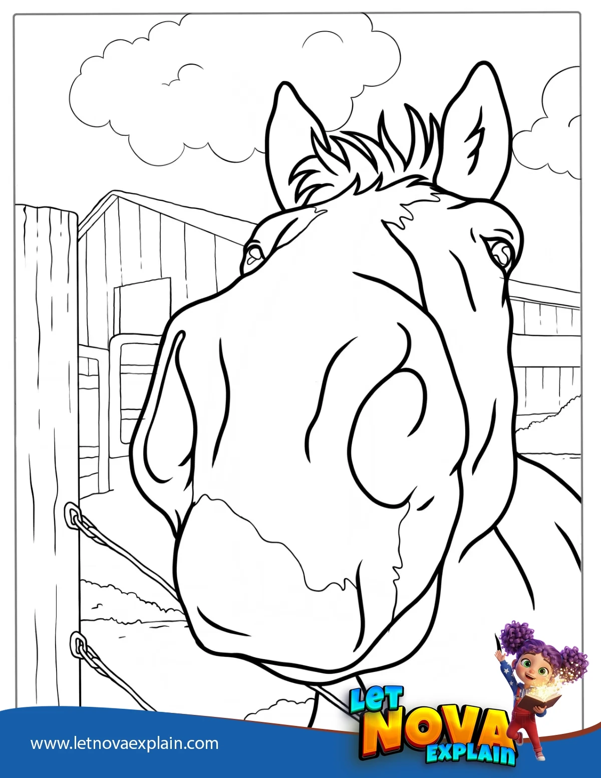 Close Up Of Horse Nose To Color — صفحة تلوين