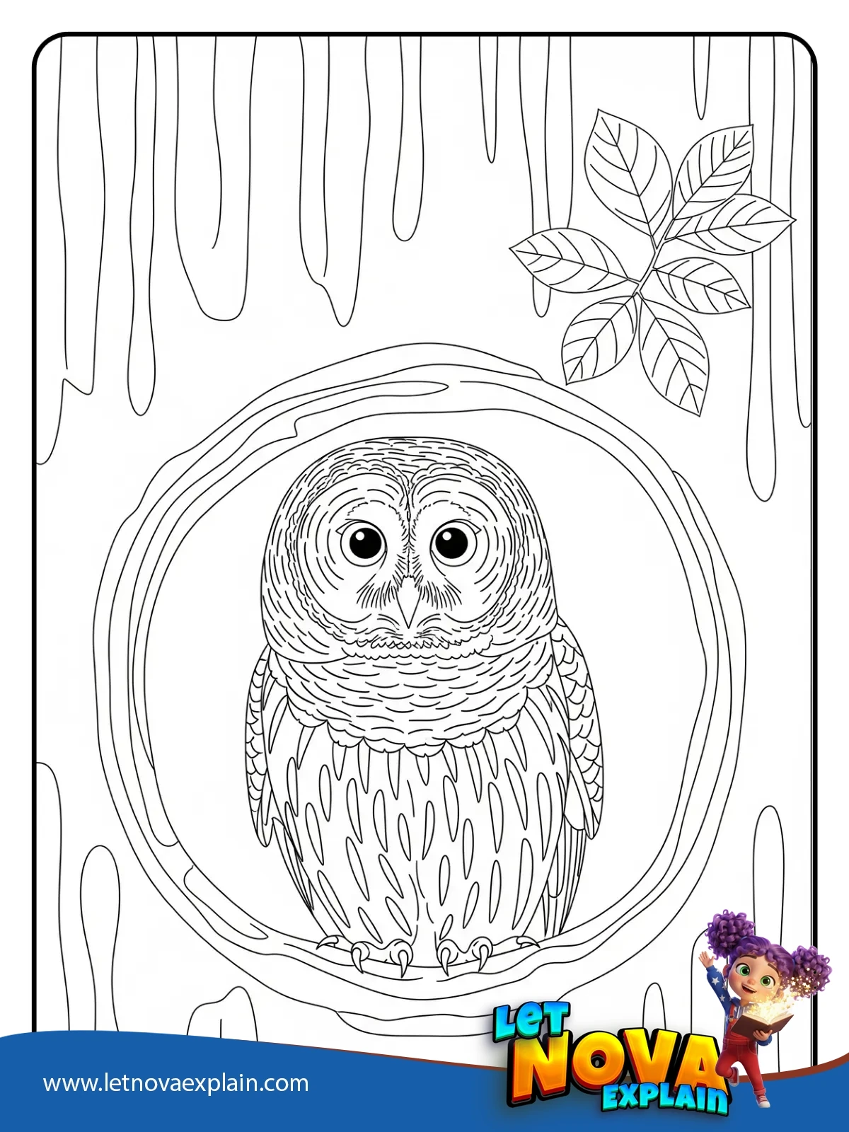 Barred Owl in a Tree Hollow coloring — PDF imprimible