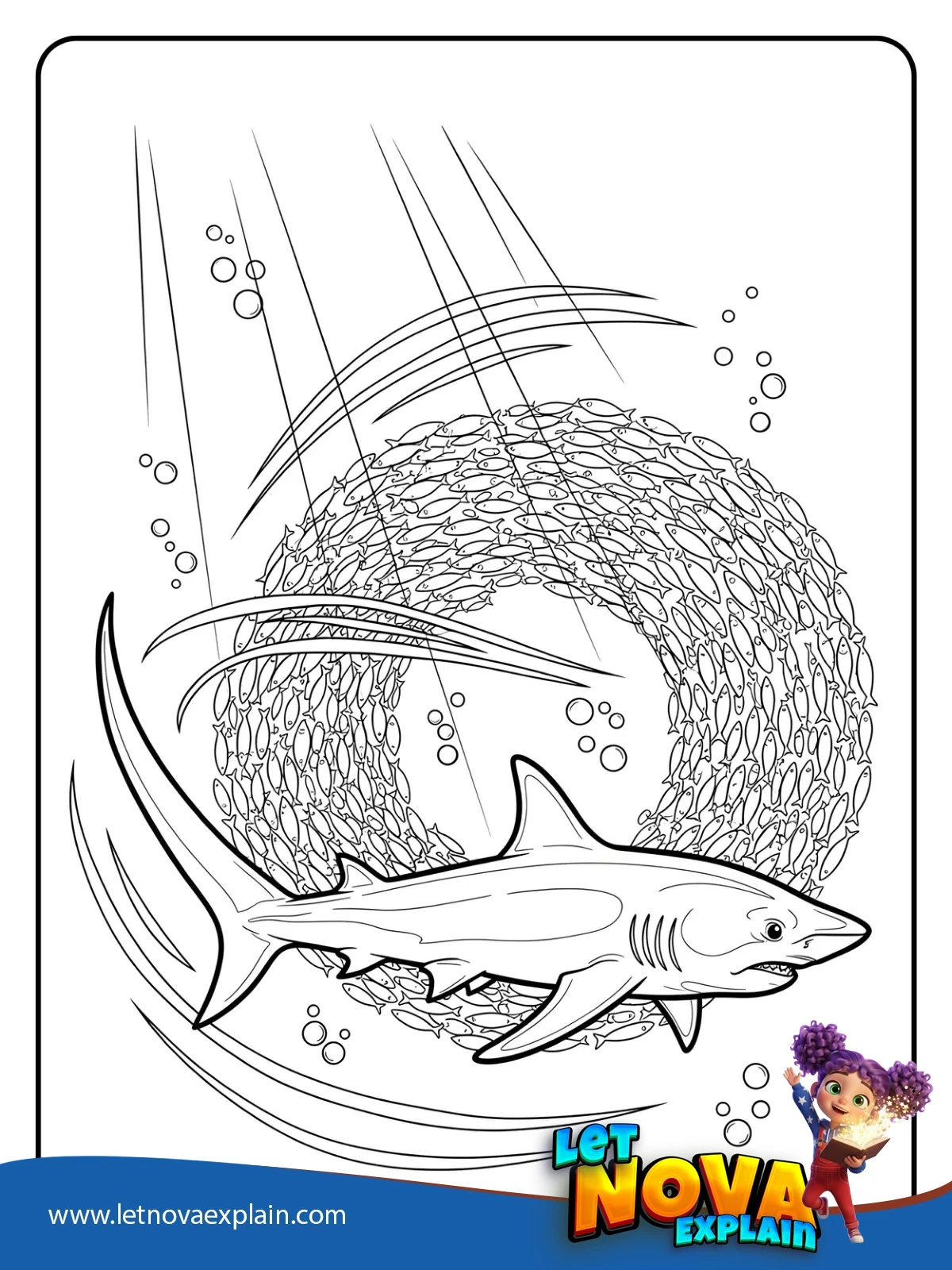 Thresher Tail Strike Over Sardine Ball coloring — Printable PDF