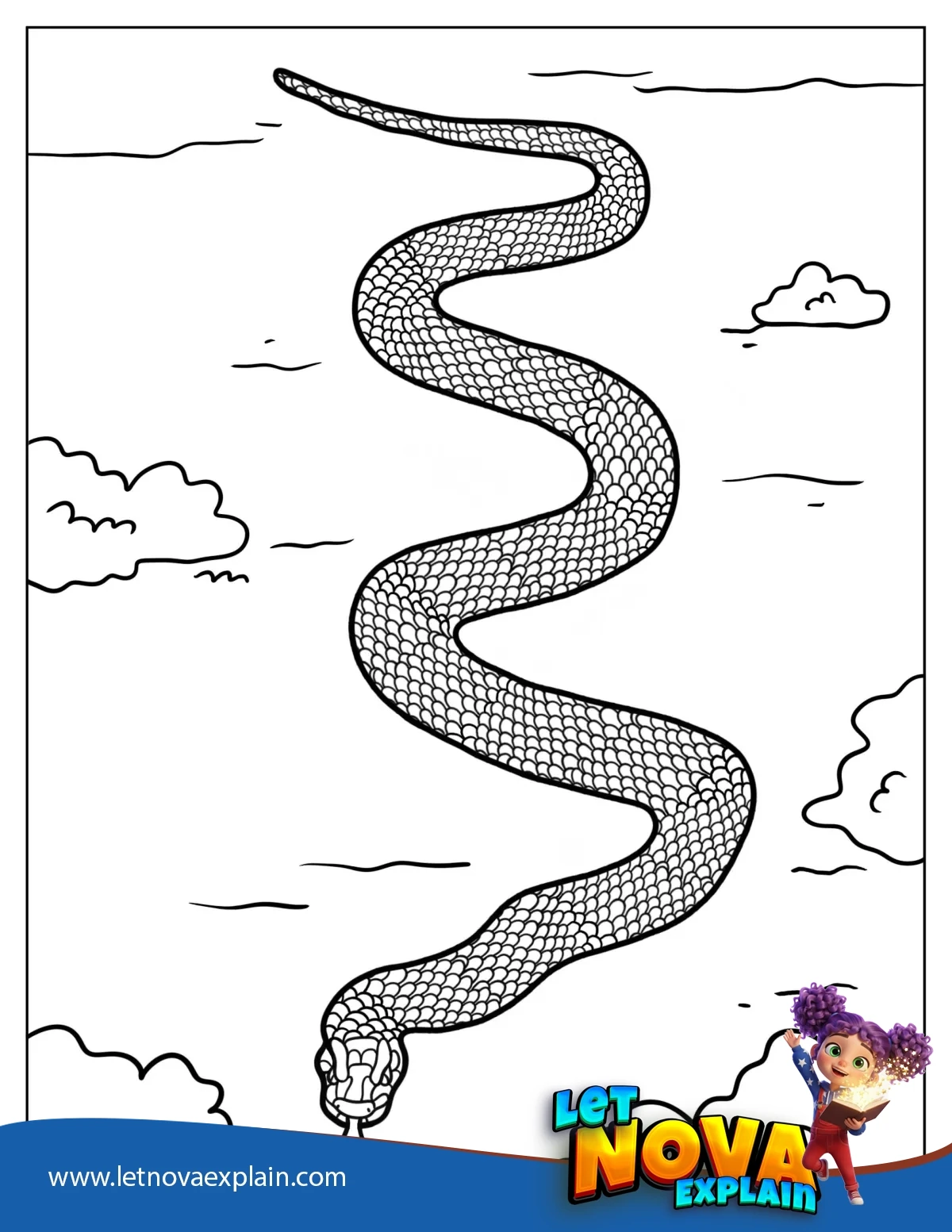 Australian Red Belly Black Snake — Coloring page