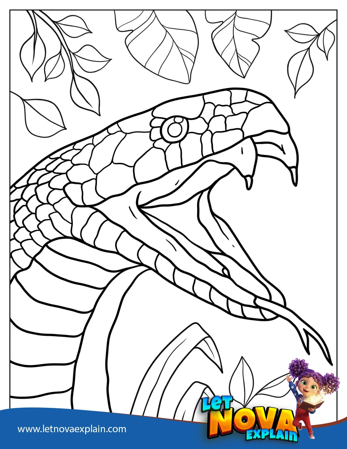 Close Up Of Snake With Fangs Out — Coloring page