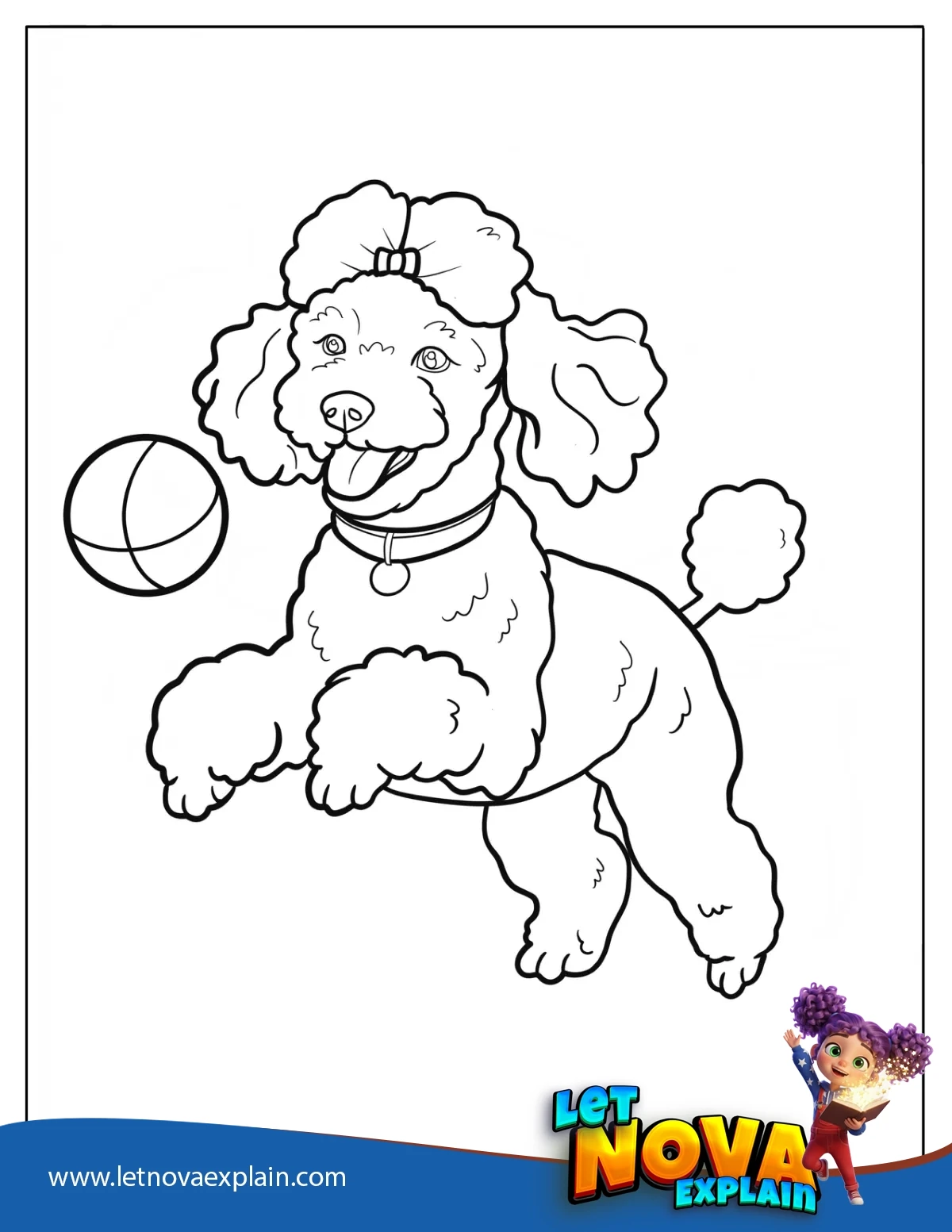 Bouncy Poodle Chasing Toy Ball Coloring Page for Kids — Página para colorear