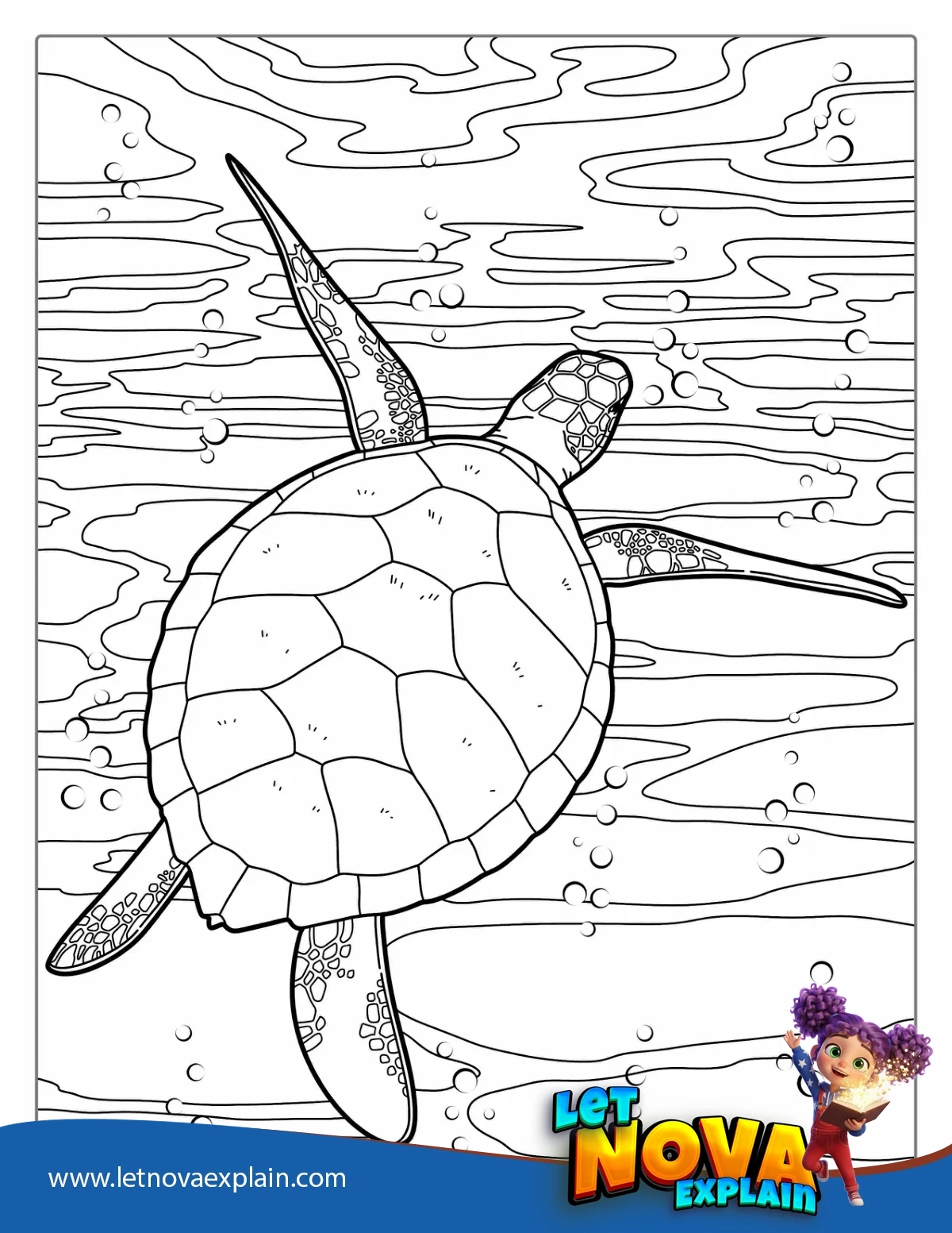 Green Sea Turtle Coloring Page — Disegno da colorare